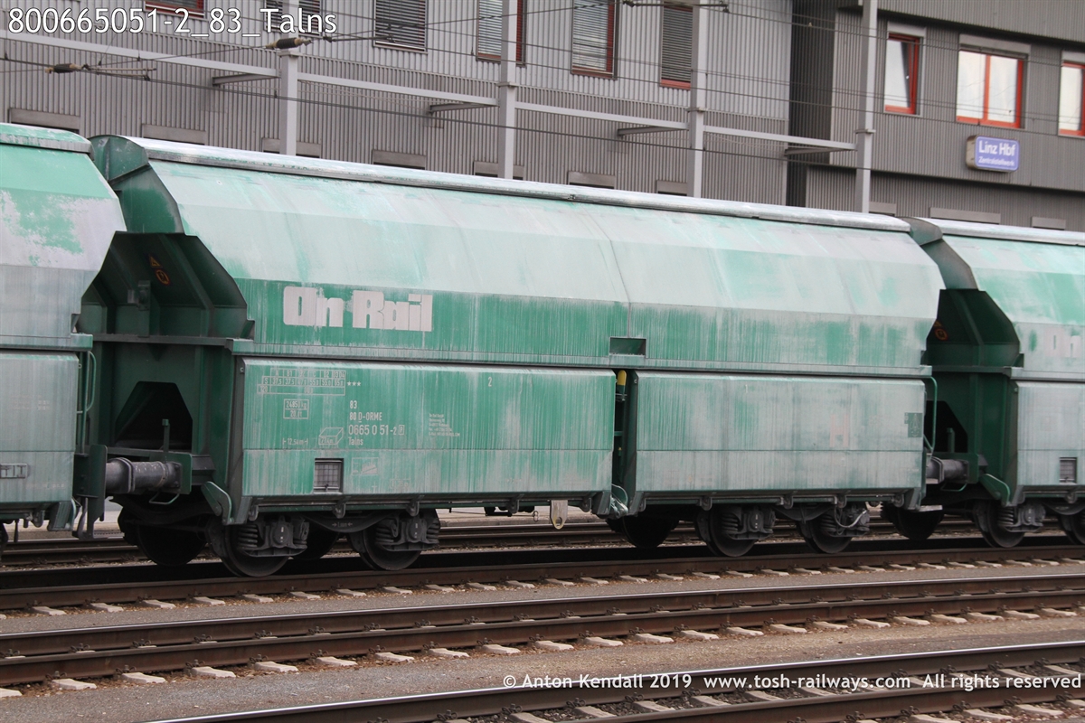 800665051-2_83_Talns.JPG